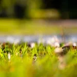 The Real Problems Behind Sleep Disturbances